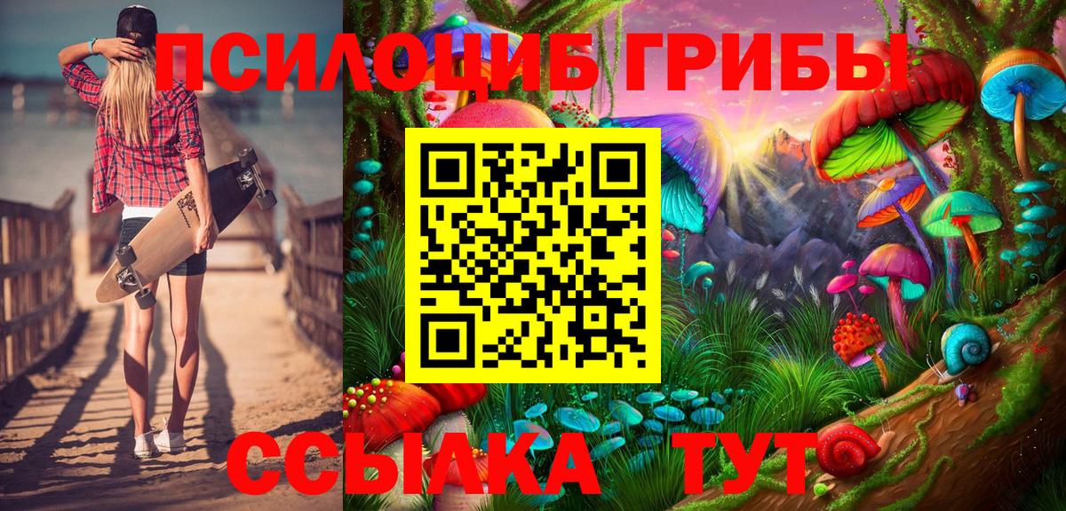 Псилоцибиновые грибы мицелий  Вход с VPN  Якутск 